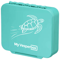 Türkis - Schildkröte